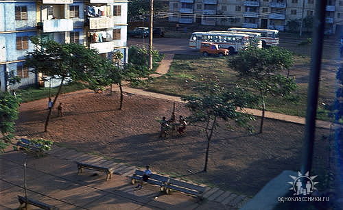 Моа, 1980-1983