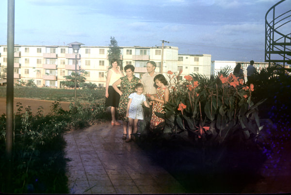 Лариса Костикова, 1980-1983