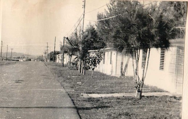 Фотография Николая Волкова